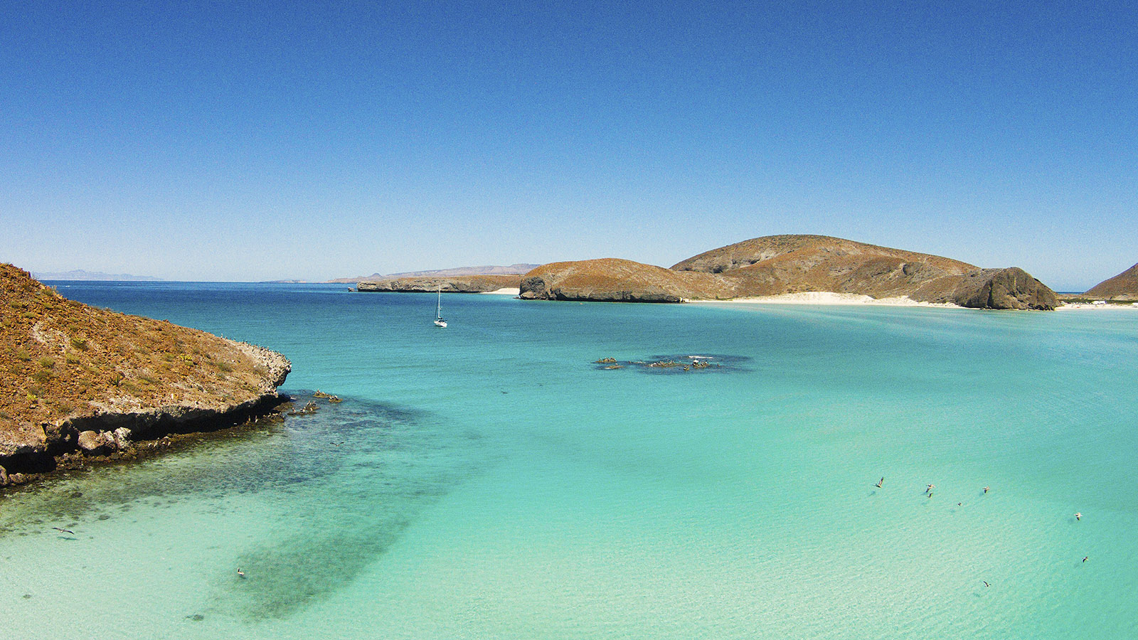 SEA OF CORTEZ, MEXICO/December 6th-13th, 2025